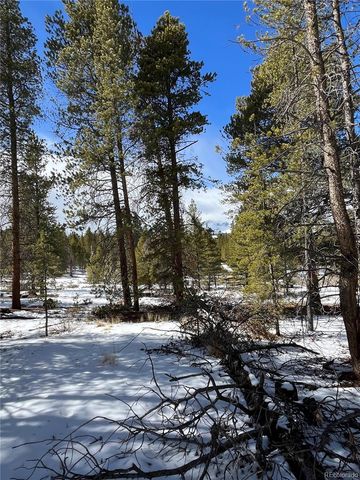 28 Juniper Drive, Twin Lakes, CO 81251