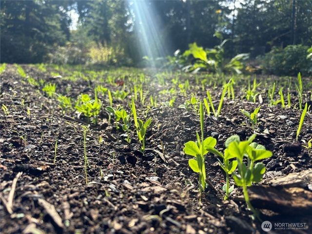 2514 177th Avenue NE, Snohomish, WA 98290