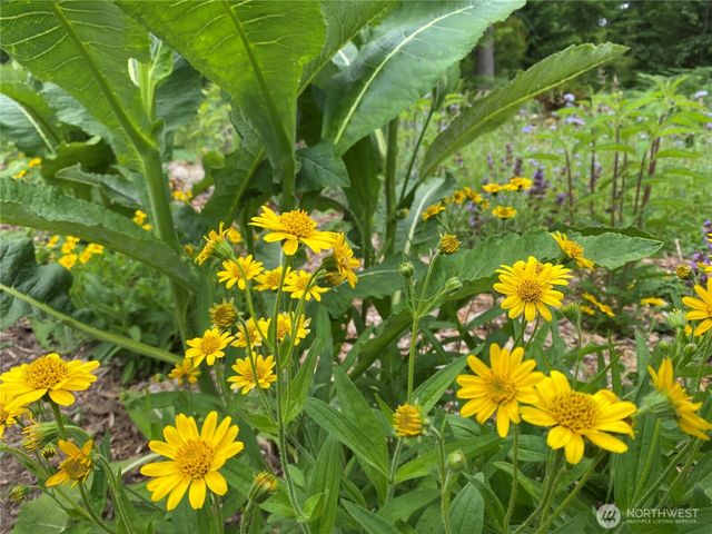 2514 177th Avenue NE, Snohomish, WA 98290