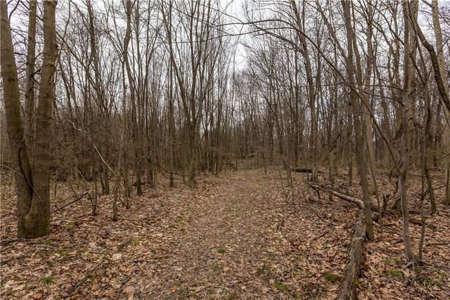 1 Ciara, Neshannock Twp, PA 16105