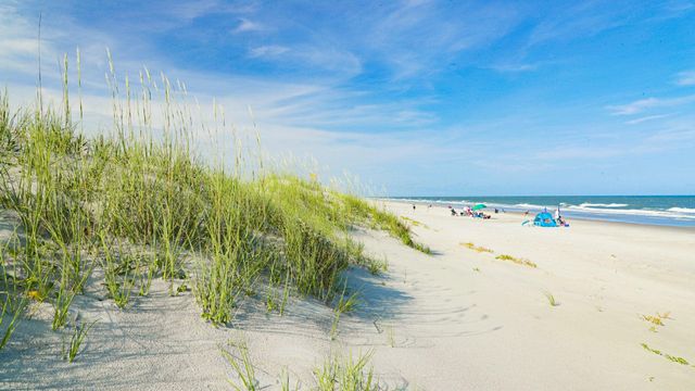 21 Red Maple Dr., Pawleys Island, SC 29585