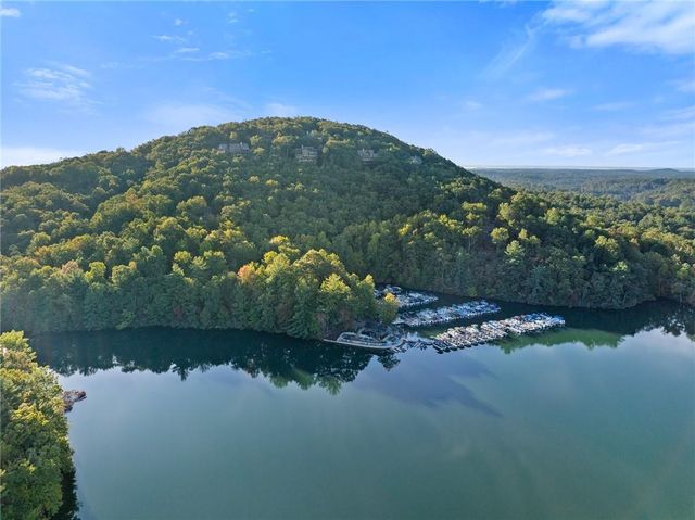 1319 Deer Run Ridge, Jasper, GA 30143