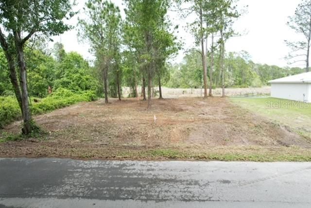 LOCUST RUN DRIVE, Ocala, FL 34472