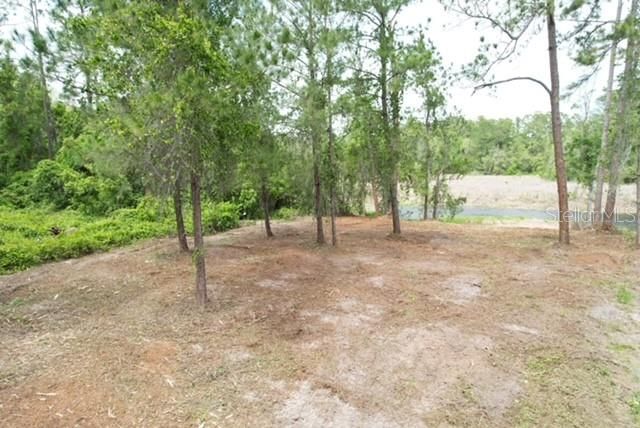 LOCUST RUN DRIVE, Ocala, FL 34472