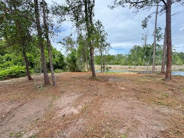LOCUST RUN DRIVE, Ocala, FL 34472