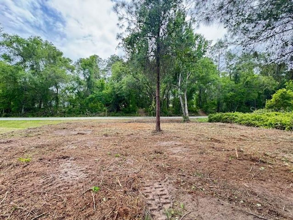 Image 6 of property listing at LOCUST RUN DRIVE, Ocala, FL 34472