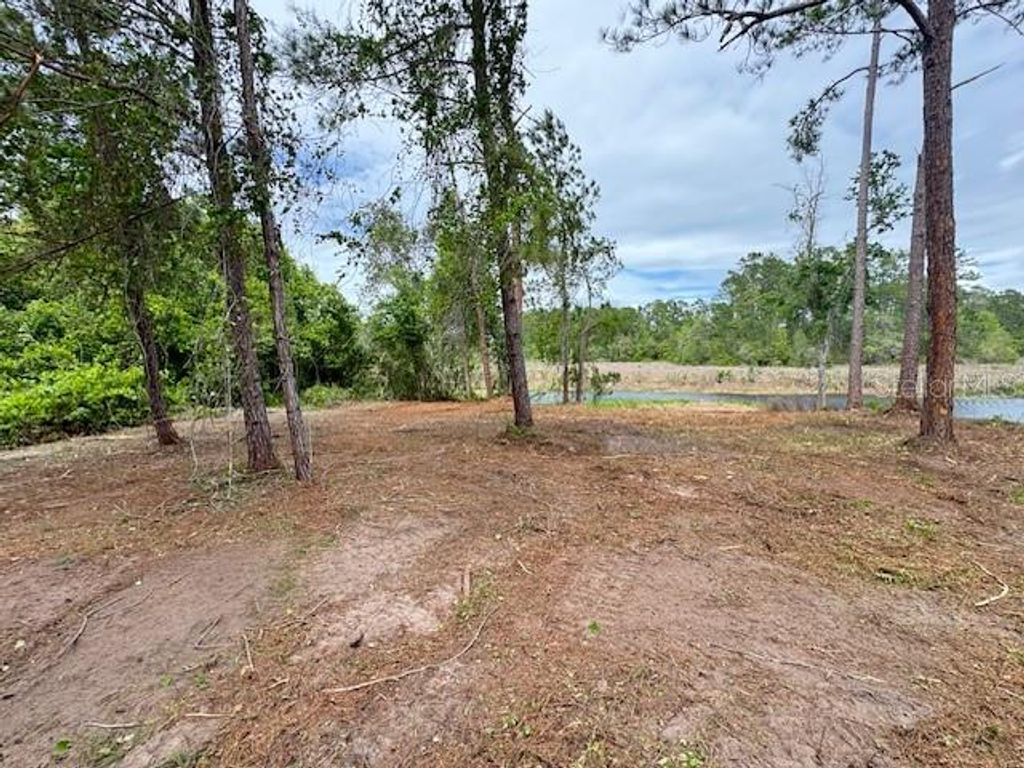 Image 7 of property listing at LOCUST RUN DRIVE, Ocala, FL 34472