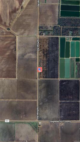 995 Greene 914 Road, Paragould, AR 72450