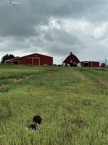 17885 Brick Heights, Colorado Springs, CO 80908