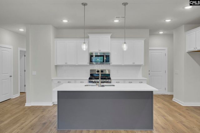 669 Rose Copper Way Drive, Lexington, SC 29073