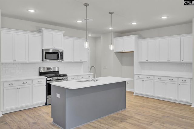 669 Rose Copper Way Drive, Lexington, SC 29073