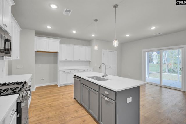 669 Rose Copper Way Drive, Lexington, SC 29073