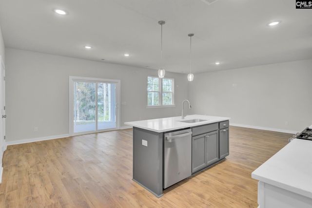 669 Rose Copper Way Drive, Lexington, SC 29073