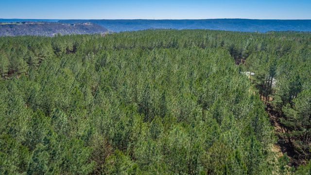 190 Arrowhead Lane Jf233, Jasper, TN 37347