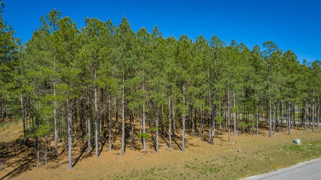 190 Arrowhead Lane Jf233, Jasper, TN 37347
