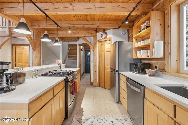 41650 Charlie Drive, Homer, AK 99603