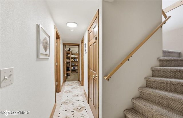 41650 Charlie Drive, Homer, AK 99603