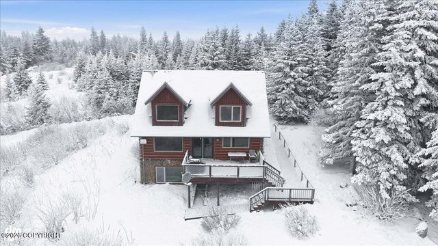 41650 Charlie Drive, Homer, AK 99603