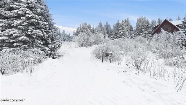 41650 Charlie Drive, Homer, AK 99603