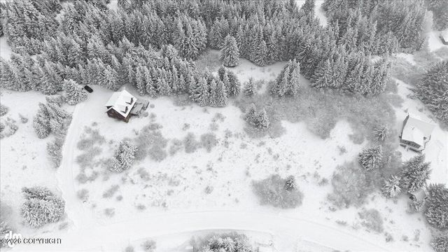 41650 Charlie Drive, Homer, AK 99603