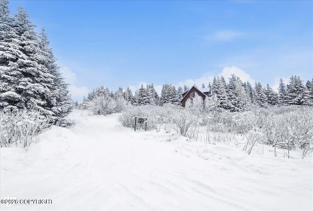 41650 Charlie Drive, Homer, AK 99603