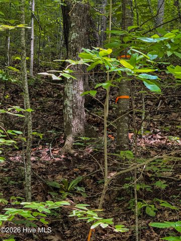 Lot 8 Skyview Drive, Hayesville, NC 28904