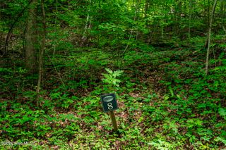 Lot 8 Skyview Drive, Hayesville, NC 28904