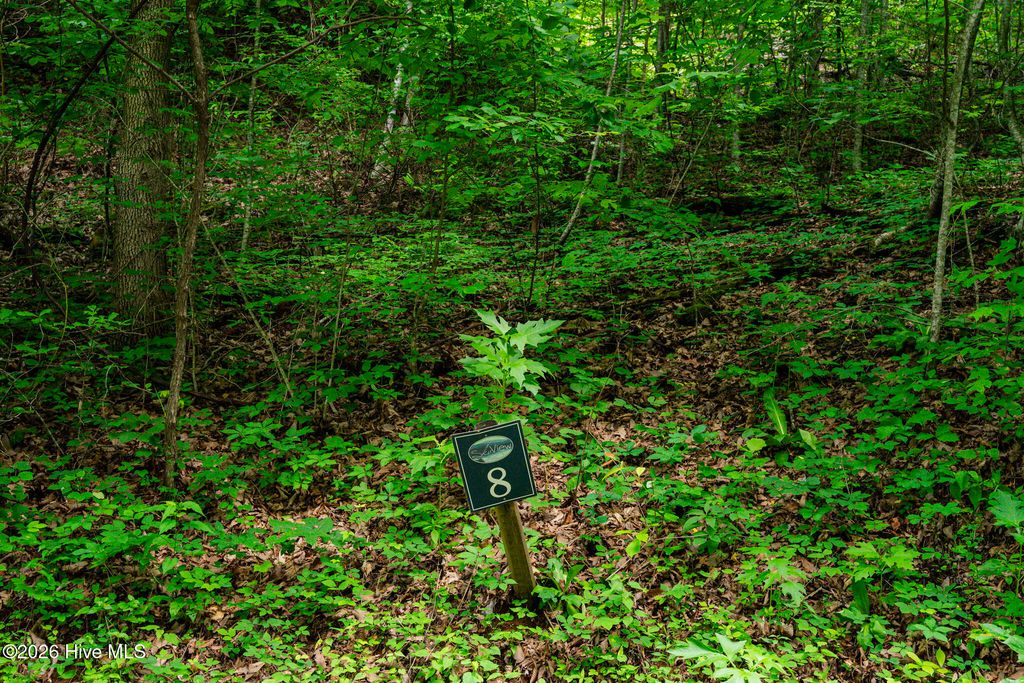 Lot 8 Skyview Drive, Hayesville, NC 28904