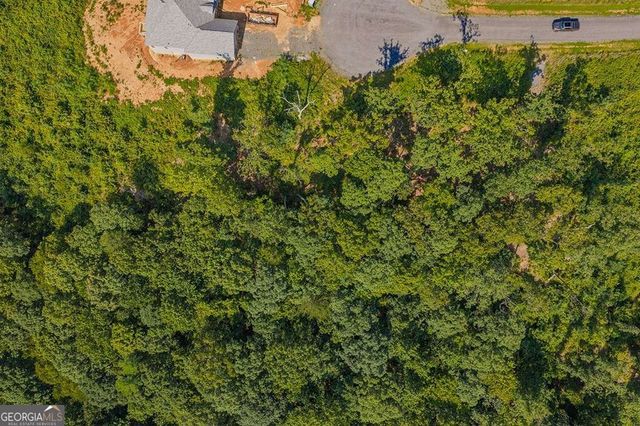 LOT 84 High Summit Drive 84, Talking Rock, GA 30175