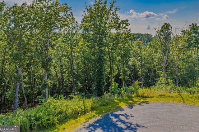 LOT 84 High Summit Drive 84, Talking Rock, GA 30175