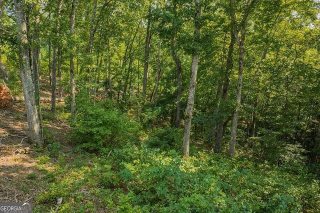 LOT 84 High Summit Drive 84, Talking Rock, GA 30175