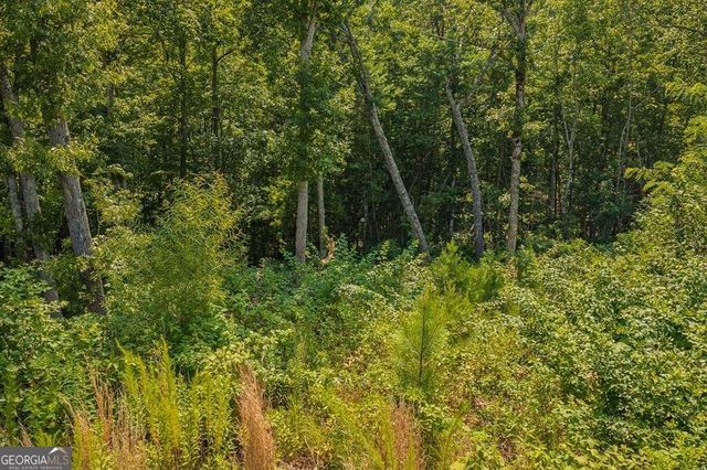 LOT 84 High Summit Drive 84, Talking Rock, GA 30175