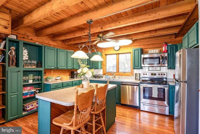 1660 CANOE RIVER DR, Rileyville, VA 22650