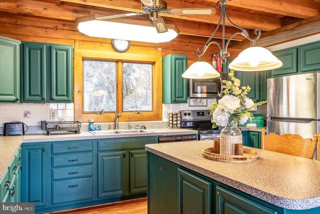 1660 CANOE RIVER DR, Rileyville, VA 22650