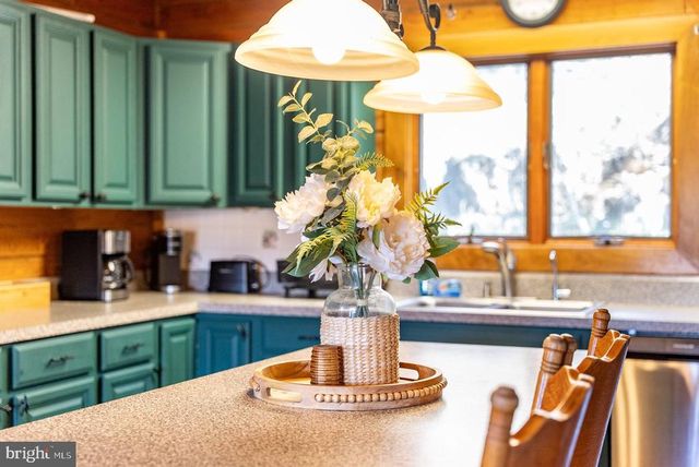 1660 CANOE RIVER DR, Rileyville, VA 22650