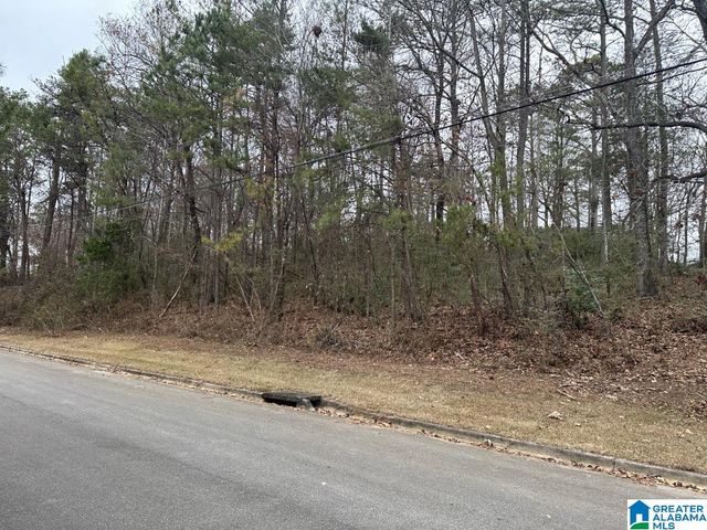 6036 & 6042 AIR PARK TERRACE, Pinson, AL 35215