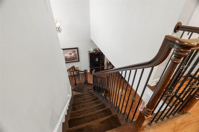 1342 RIBOLLA, Palm Harbor, FL 34683