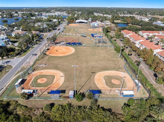 1342 RIBOLLA, Palm Harbor, FL 34683