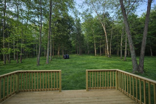 4619 Chapel Hill Rd, Southside, TN 37171