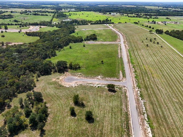 220 Diamond Point, Dodd City, TX 75438