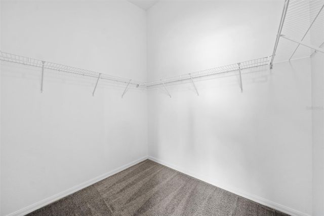 3416 RED ROCK DRIVE, Land O Lakes, FL 34639