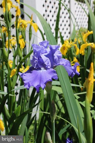 308 SKY BLUE CT, Edgewood, MD 21040
