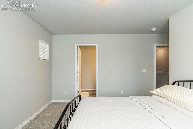 4535 Samaritan Loop, Colorado Springs, CO 80916