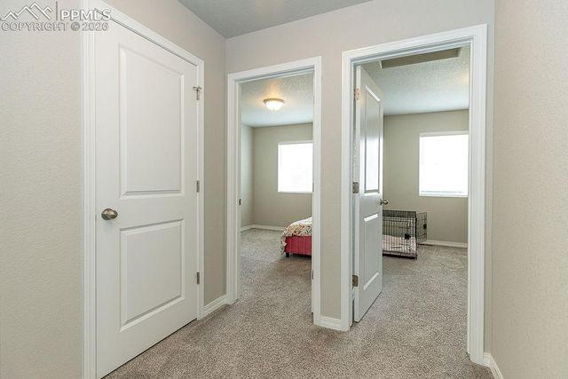 4535 Samaritan Loop, Colorado Springs, CO 80916
