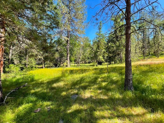 0 Triangle Road, Mariposa, CA 95338