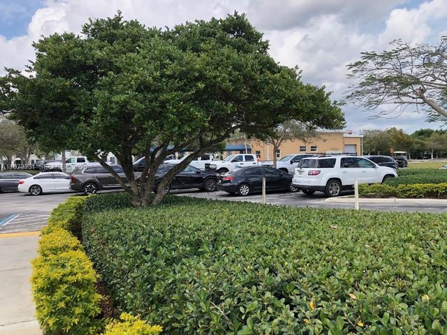 17255 SW 95th Ave 346, Palmetto Bay, FL 33157