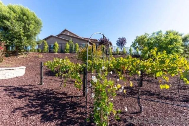 41770 Knoll Vista Lane, Temecula, CA 92592