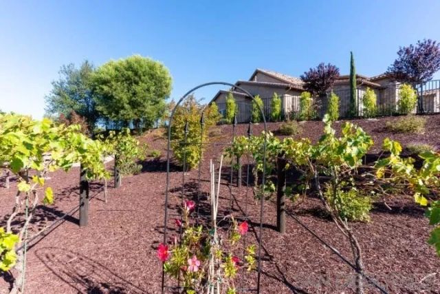 41770 Knoll Vista Lane, Temecula, CA 92592