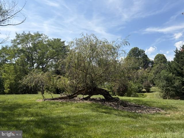 1847 MELVOR LN, Winchester, VA 22601