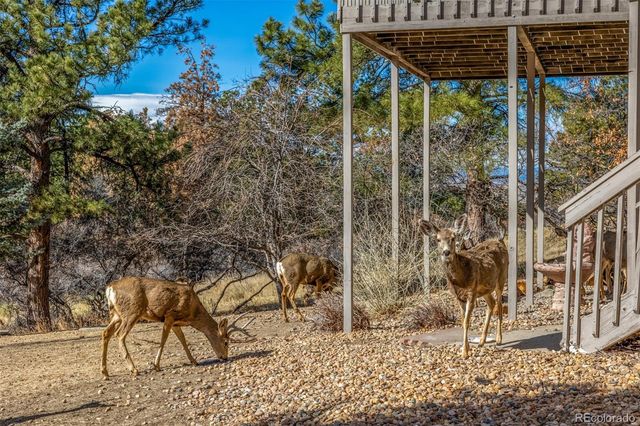 5953 Angie Court, Parker, CO 80134